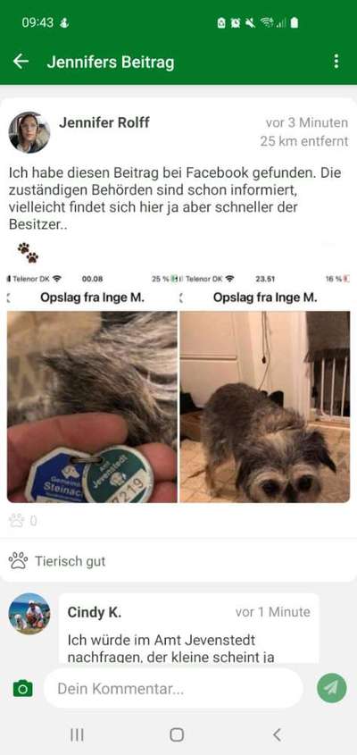Entlaufene, Gefundene und Vermisste Hunde-Beitrag-Bild