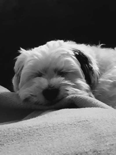 Foto-Challenge 76: Foto in Schwarz-Weiss-Beitrag-Bild