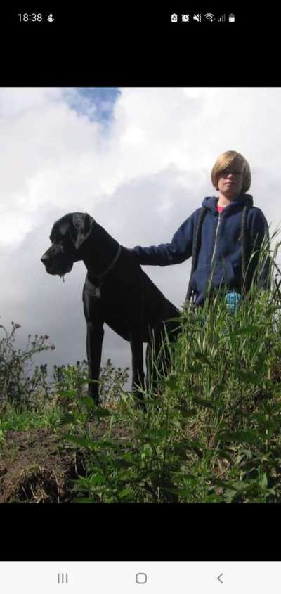 Black dogs are beautiful-Beitrag-Bild
