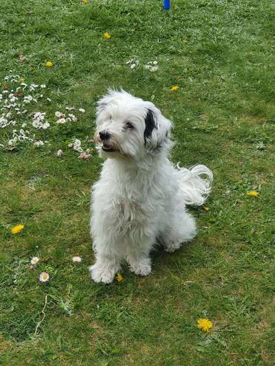 Fotowettbewerb Natur-Beitrag-Bild