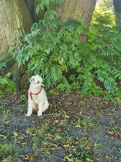 Handy-Foto Challange Nr. 10-Beitrag-Bild