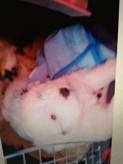 Unser Nachwuchs-Beitrag-Bild