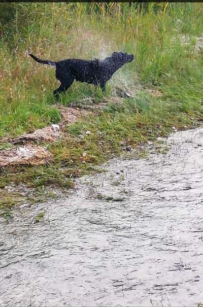 Foto Challenge Nr.133-Beitrag-Bild