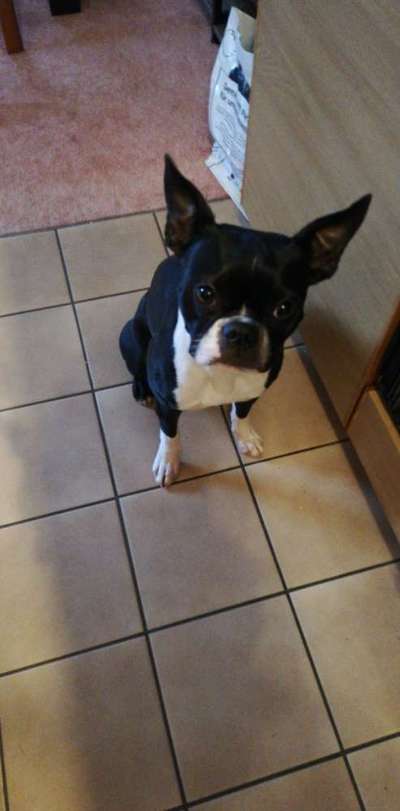 Doppelgänger gesucht !-Beitrag-Bild