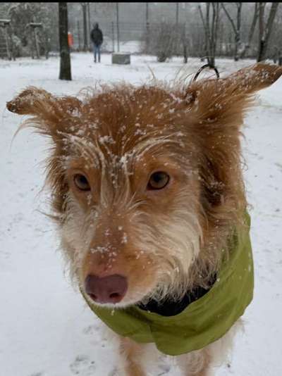 Zeigt mir die tollste Nahaufnahme von eurer Fellnase-Beitrag-Bild
