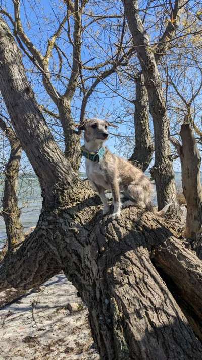 Zeigt eure schönsten Sommerbilder-Beitrag-Bild