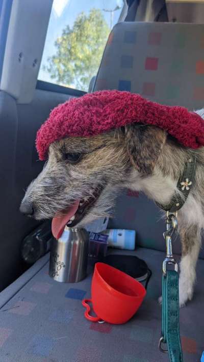 Lieblingsbild-Beitrag-Bild