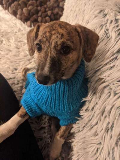 Lieblingsbild-Beitrag-Bild