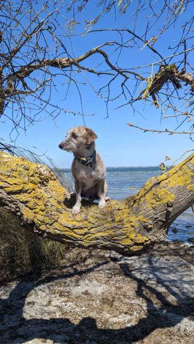 57. Handy Foto Challenge - klettern-Beitrag-Bild