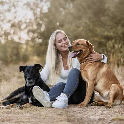 Hundetreffen-Playdate 🐶