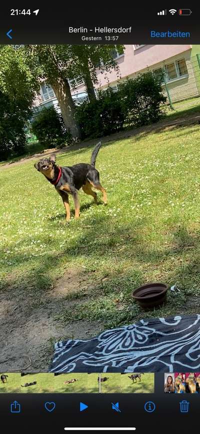 Fotochallange 84-Beitrag-Bild