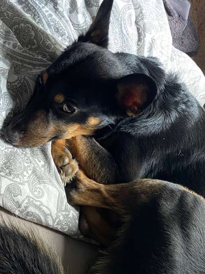 Doppelgänger gesucht !-Beitrag-Bild