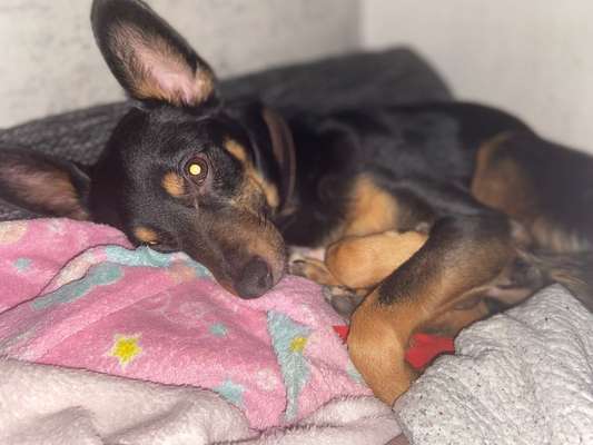 Fotochallange - Eingekugelt-Beitrag-Bild