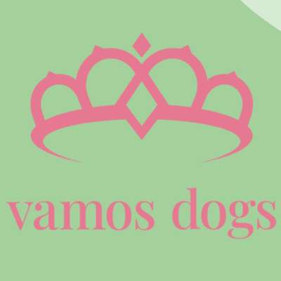 Hundeschulen-VamosDogs-Bild