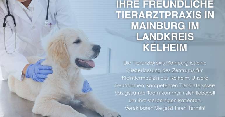 Tierärzte-Tierarztpraxis Mainburg-Bild