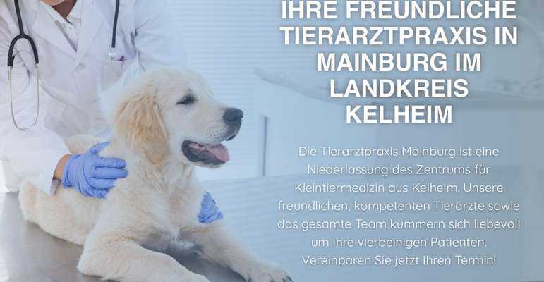 Tierärzte-Tierarztpraxis Mainburg-Bild