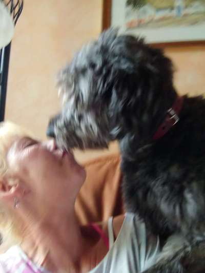 63. Handyfotochallenge   * Nase dran ! *-Beitrag-Bild