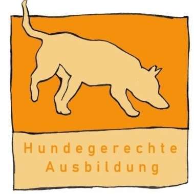 Hundeschulen-Hundegerechte Ausbildung-Bild