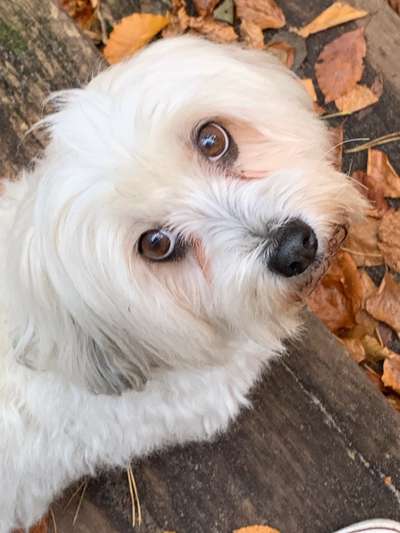 Fotochallange Nr. 57     PORTRÄT.   Beendet!!!!!!!!-Beitrag-Bild