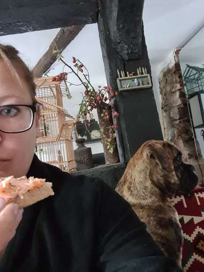 Bettel Blicke-Beitrag-Bild