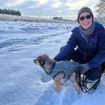 Hundetreffen-Social Walk, Hundebegegnungen, entspannte Spaziergänge