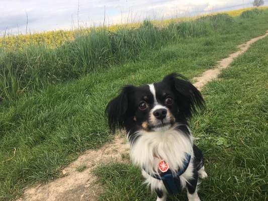 Was bin ich wohl???-Beitrag-Bild