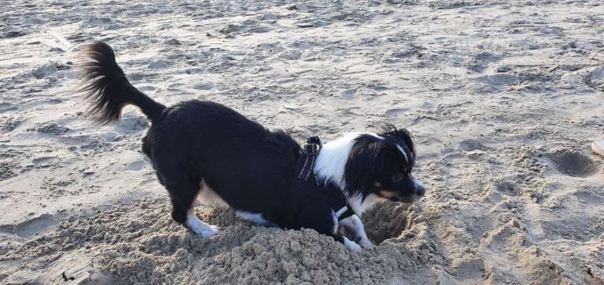 Was bin ich wohl???-Beitrag-Bild