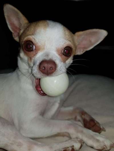 Lieblingsbild :D-Beitrag-Bild