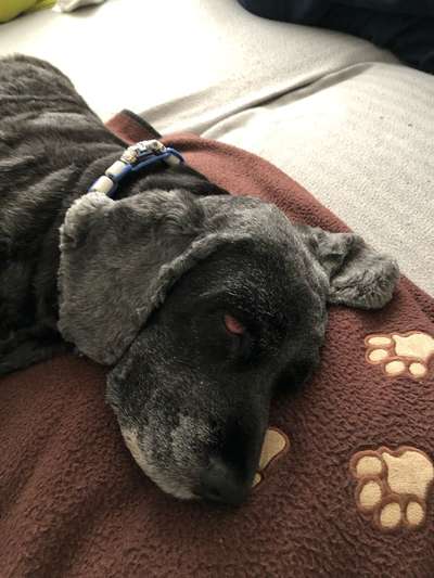 20. Handy -Foto-Callenge-Beitrag-Bild