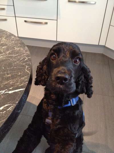 Handy-Foto Challange Nr. 10-Beitrag-Bild