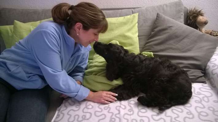 14. Handyfoto-Challenge: "BUDDY-Builder"-Beitrag-Bild