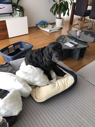 Fotochallenge 113: Auf frsicher Tat ertappt-Beitrag-Bild