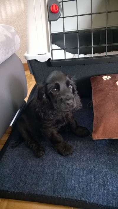 Fotochallange Nummer 5-Beitrag-Bild