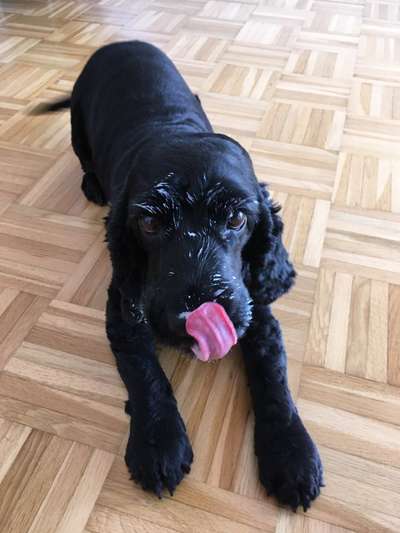 Handyfoto challenge Nr. 13: Waschlappen raus!-Beitrag-Bild