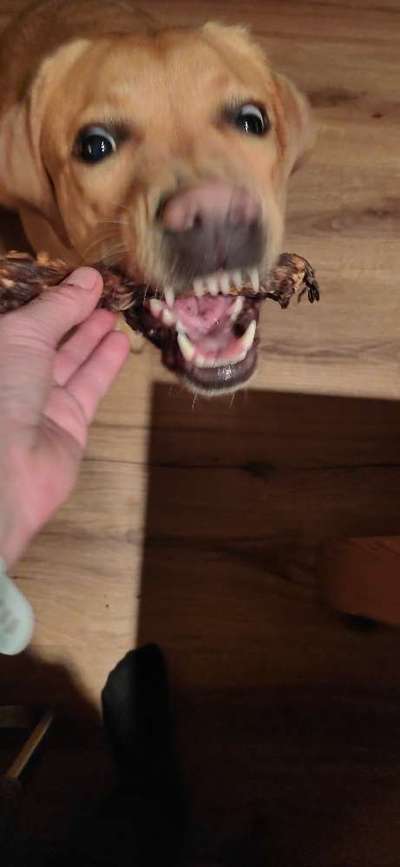 Her mit dem Grimassen-Beitrag-Bild