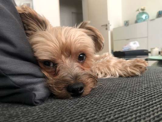 Fotochallange Nr. 57     PORTRÄT.   Beendet!!!!!!!!-Beitrag-Bild