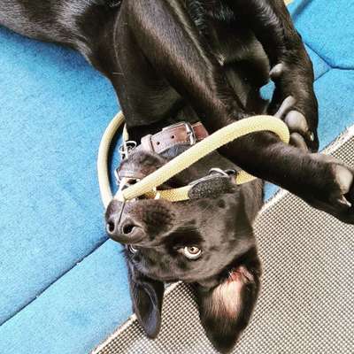 Fotochallange 84-Beitrag-Bild