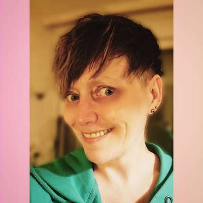 Hundetreffen-Ölbachtal am Abend