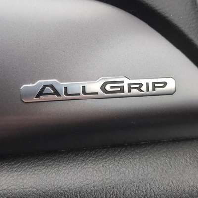 Hundetreffen-Hunde Wiese bis 15 kg