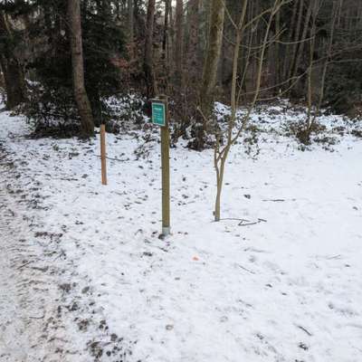 Giftköder-Giftköder-Bild