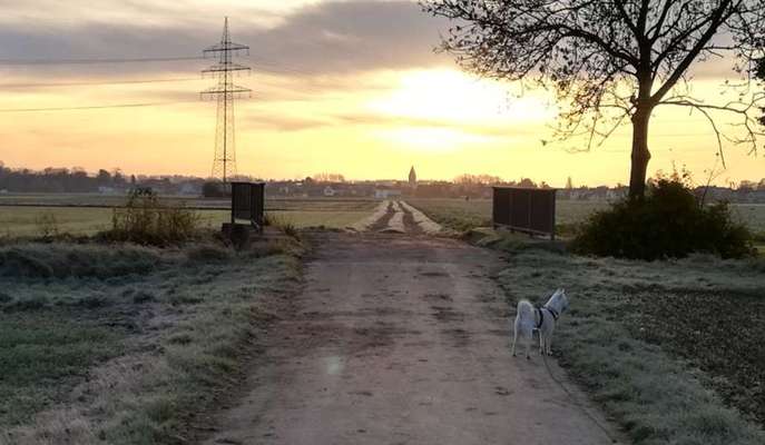 Fotochallenge Nr. 62 Romantische Momente-Beitrag-Bild