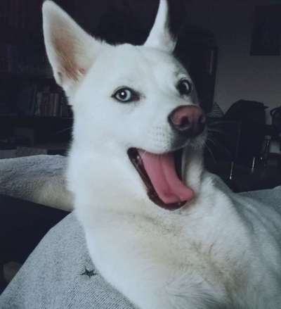 Fotochallange Nr. 57     PORTRÄT.   Beendet!!!!!!!!-Beitrag-Bild