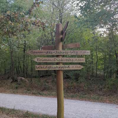 Hundeauslaufgebiet-Trimm-Dich-Pfad-Bild