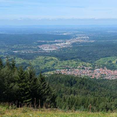 Hundeauslaufgebiet-Teufelsmühle-Bild