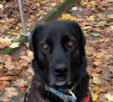 Fotochallange Nr. 57     PORTRÄT.   Beendet!!!!!!!!-Beitrag-Bild