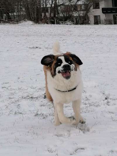 Her mit dem Grimassen-Beitrag-Bild