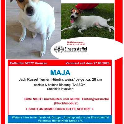 Entlaufene, Gefundene und Vermisste Hunde-Beitrag-Bild