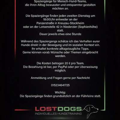 Hundetreffen-Geführte Spaziergänge-Bild