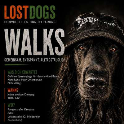 Hundetreffen-Geführte Spaziergänge-Bild
