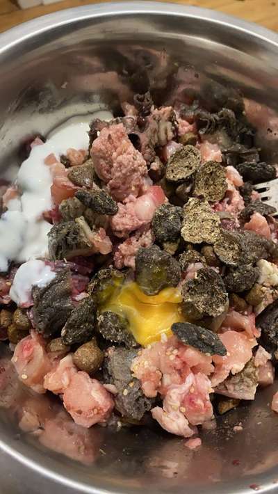 Zeigt her Eure Futternäpfe-Beitrag-Bild